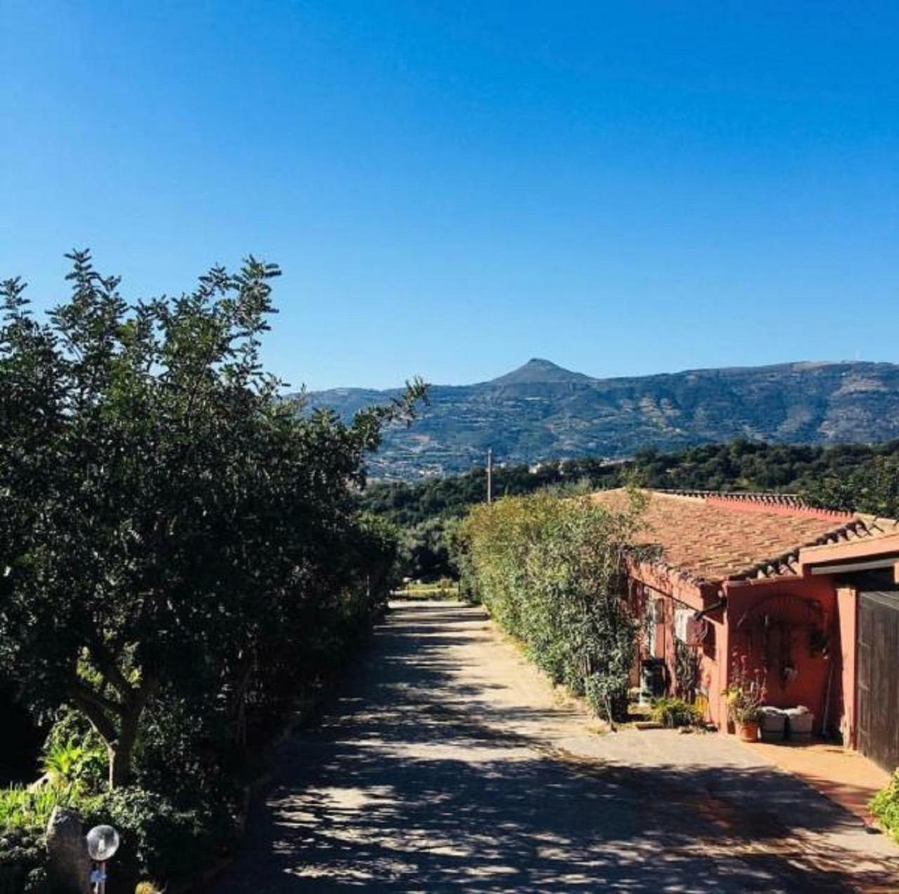 Agriturismo Su Barraccu Villa Loceri Luaran gambar